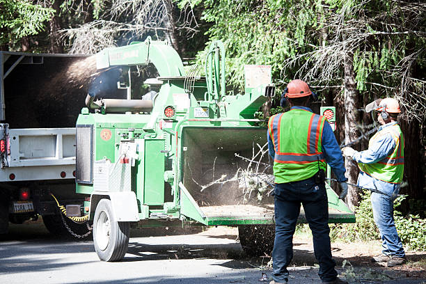 Best Commercial Tree Services  in Edmonton, KY